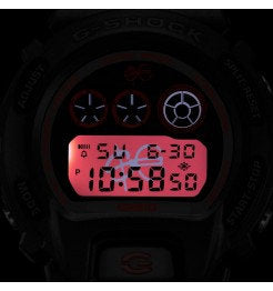 DW-6900SFE25-1ER