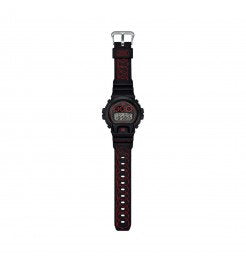 DW-6900SFE25-1ER